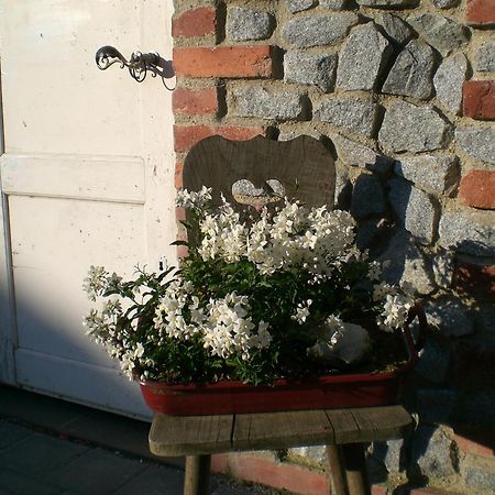 Pension Schuasterhof Bodenmais Exteriér fotografie