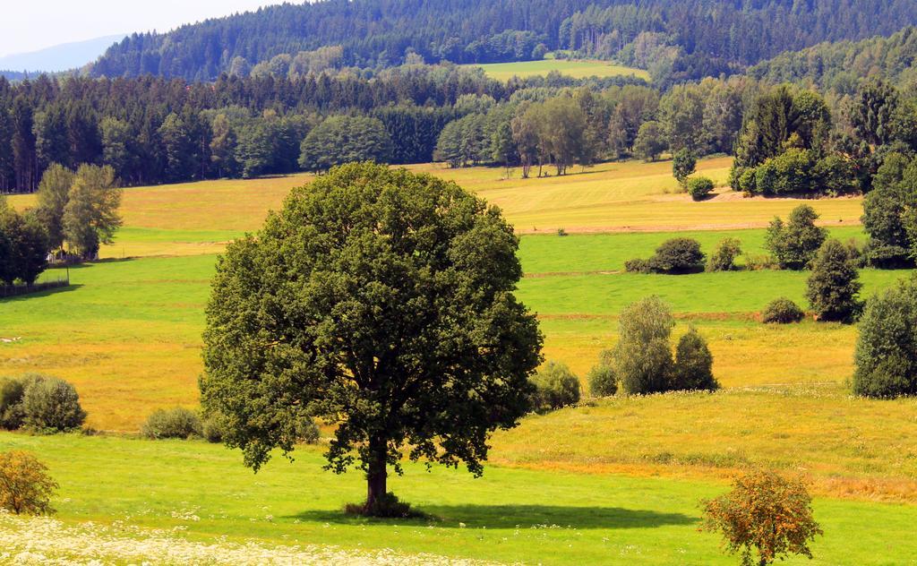 Pension Schuasterhof Bodenmais Exteriér fotografie