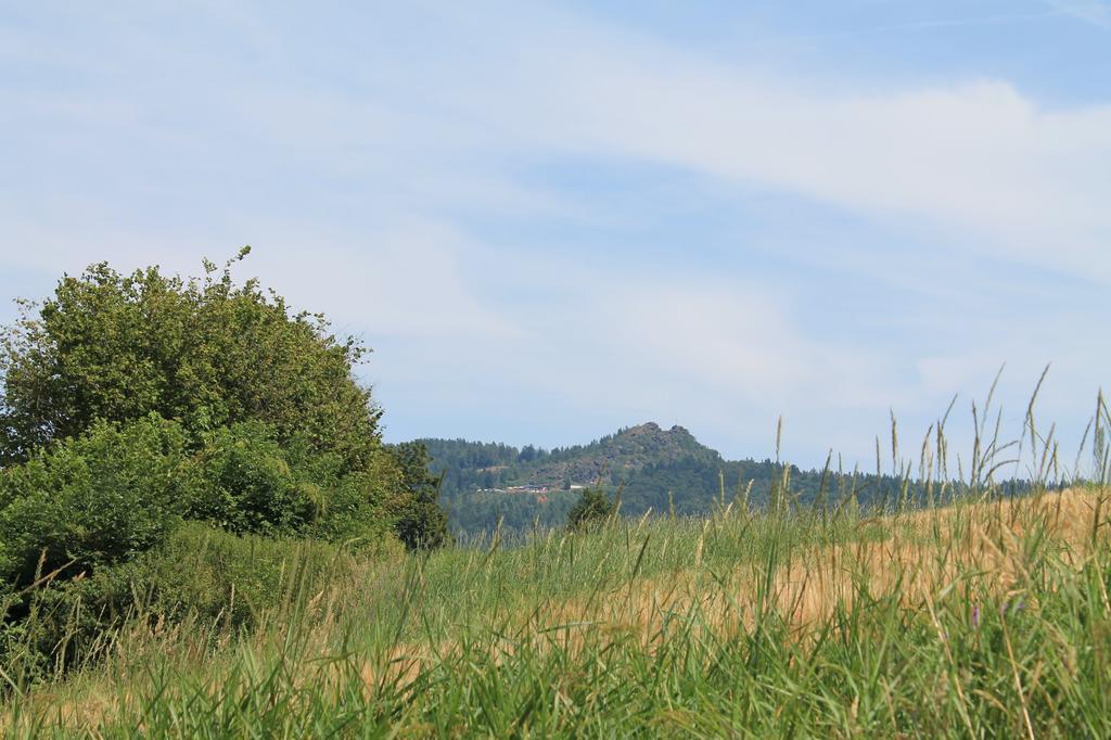 Pension Schuasterhof Bodenmais Exteriér fotografie