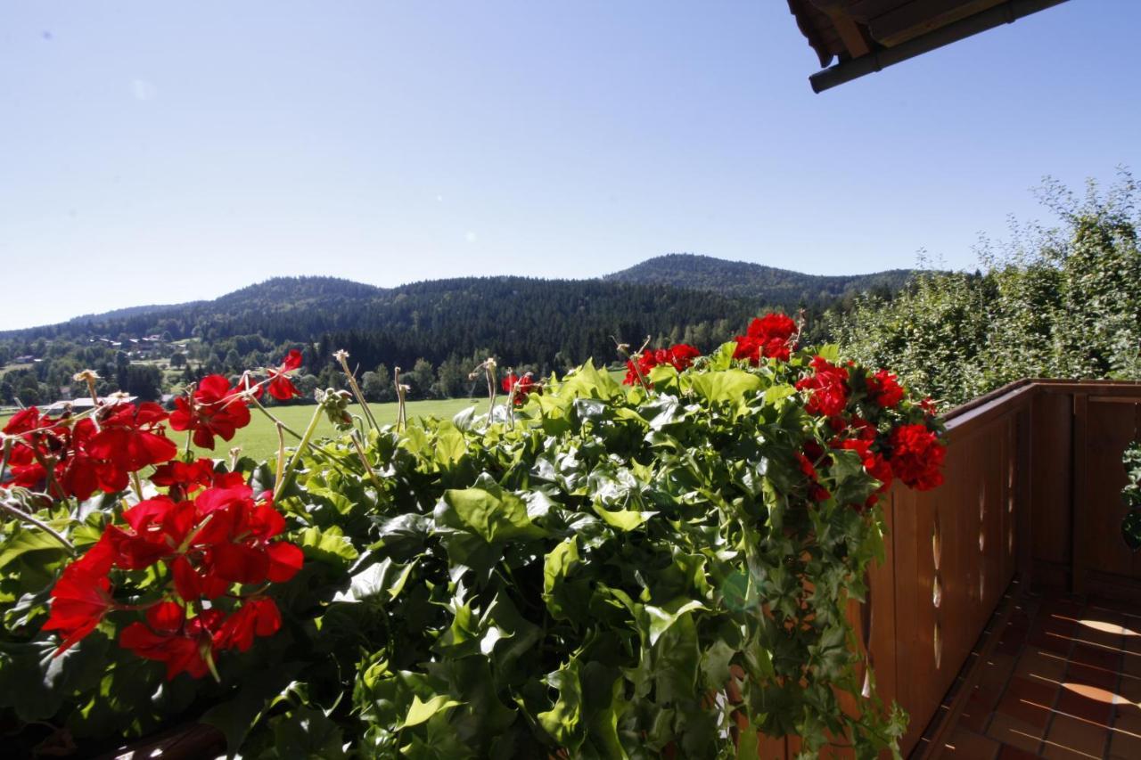 Pension Schuasterhof Bodenmais Exteriér fotografie