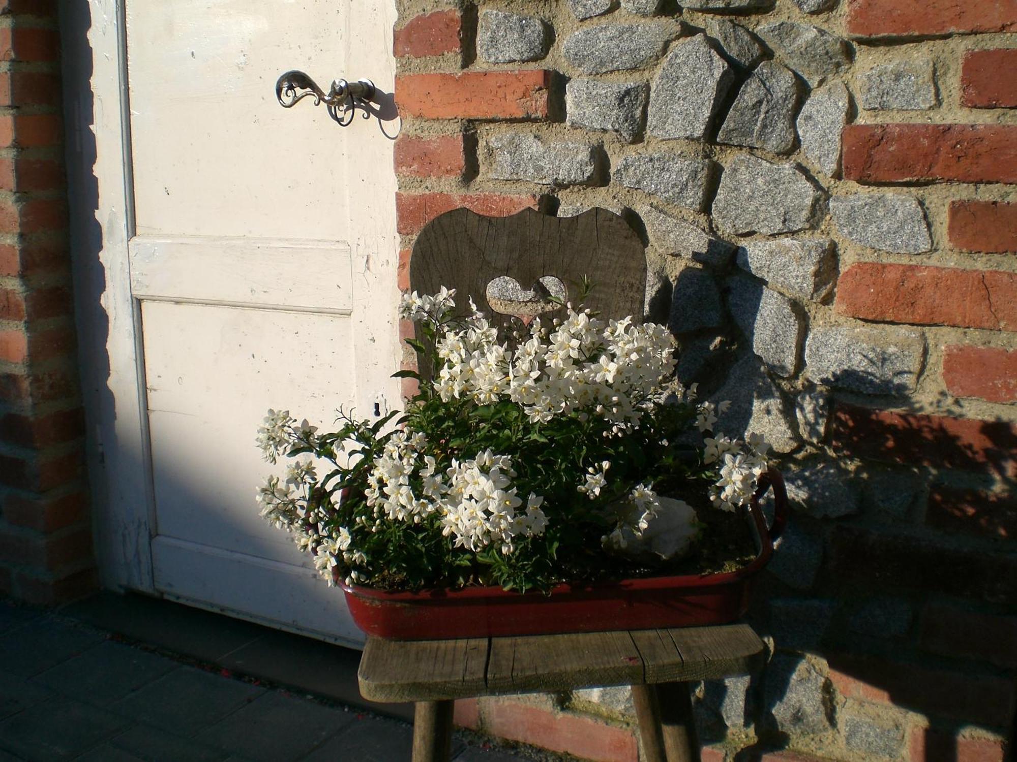 Pension Schuasterhof Bodenmais Exteriér fotografie