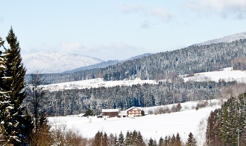 Pension Schuasterhof Bodenmais Exteriér fotografie